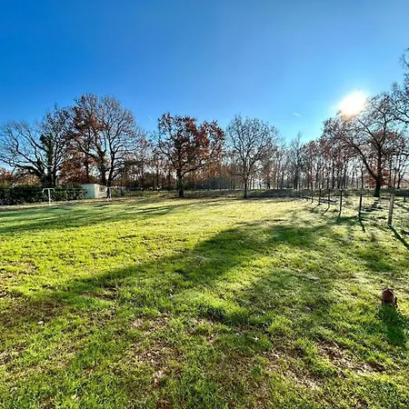 Villa Maison Moderne Au Calme Avec Billard, Jacuzzi, Bain à Remous, Piscine, Babyfoot Labastide-du-Temple