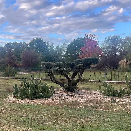 Villa Maison Moderne Au Calme Avec Billard, Jacuzzi, Bain A Remous, Piscine, Babyfoot *